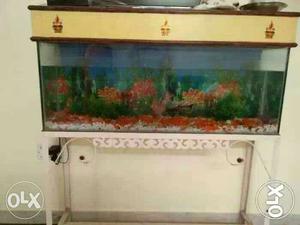 Fish aquarium size 4'×2'×1'.urgnt sell