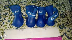 For small breed Dog- New boots