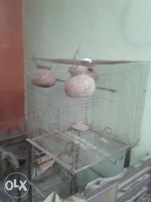 Its 2/2 feet iron cage for birds.