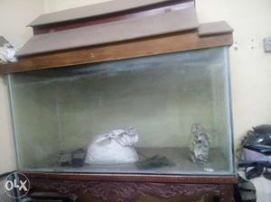 Only fish tank & top,Fish tank size 5ft length 2