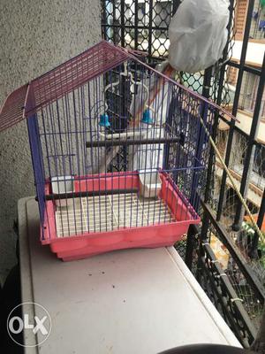 Purple And Pink Bird Cage