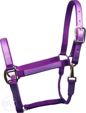 Purple Harness horses sale