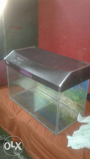 Rectangular Black Hood Fish Tank