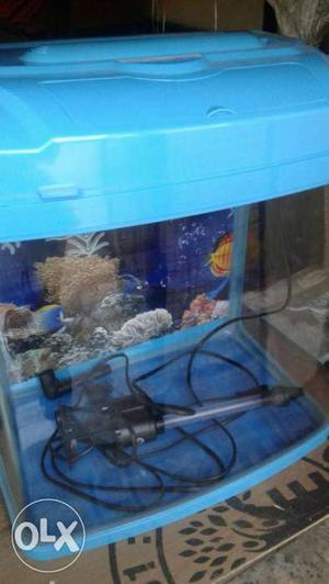 Rectangular Blue Plastic Frame Fish Tank