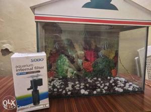Rectangular Fish Tank With White And Red Frame