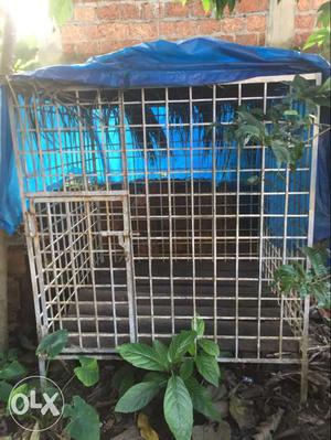 Rectangular White Metal Outdoor Pet Cage