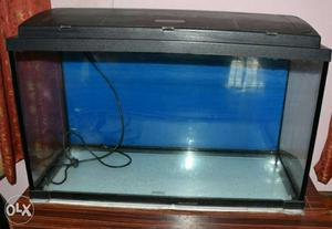 Rectangular fish Tank