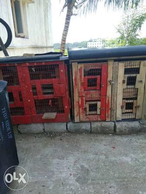 Red And Beige Wooden Chicken Cages