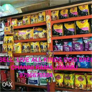 Sell All Kinds Pet's Food & Accessories In Jammu