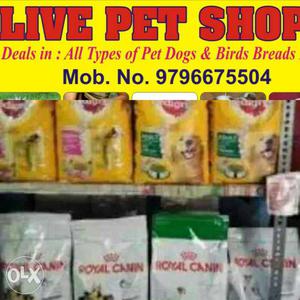 Sell Live Stock Pets Dog Food Accessories Jammu