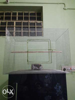 Steel birds cage