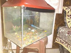 Tank in good condition with free heater and