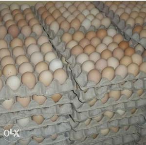 Three Org 10 eggs 120 rps