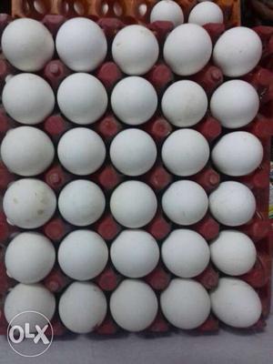 Tray Of Poultry Eggs