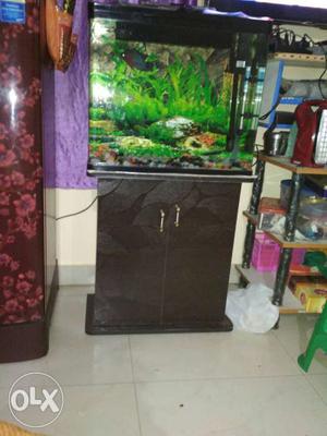 Urgent sell sunsun fish tank with wood table