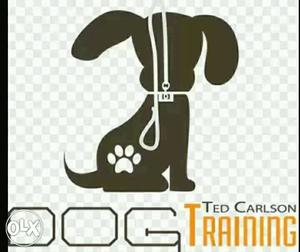 We train all types of dog