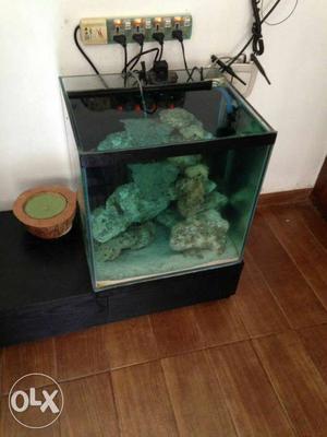 " marine fish tank, complete with sump