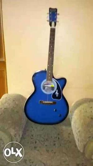 Blue And Black Acoustic Guitar With Pickguard