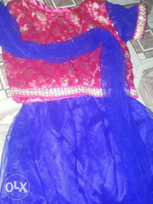 Blue And Red Sari