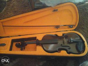 New violin buyed before 2 months less used