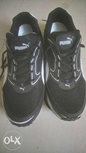 Original puma shoes, 4 months old, very less