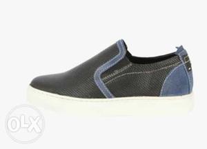 Black And Blue Slip On Shoe