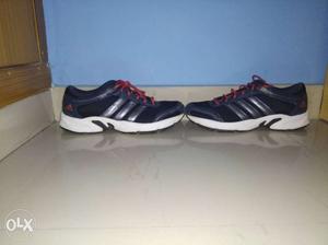 New ADIDAS Navy Blue running shoes. Size-10