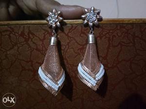 Pair Of Brown Dangling Earrings