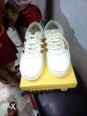 White-and-gold Adidas Low Top Shoes