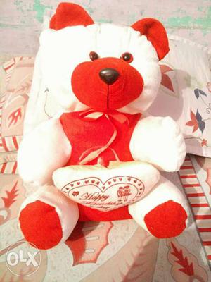 Beautiful nd cute teddy nd just normally price pr