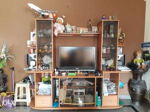 TV unit with good look and big
