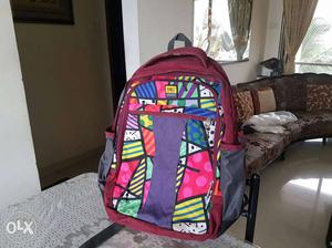 2 bagpack almost new multi coloured Rs./-