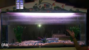 Fish Tank Size 5×1 Very Good Condition Add