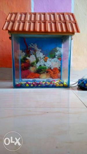 Orange fish tank with oxygen machine only at