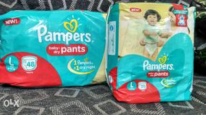 Pamper Dry Baby Pants