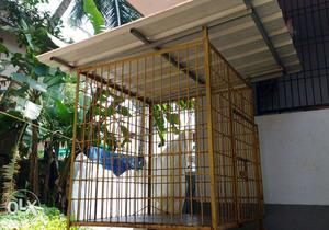 Yellow Steel Pet Cage