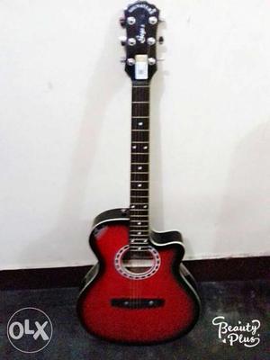 A brand new signature guitar free= 1 bag, 8