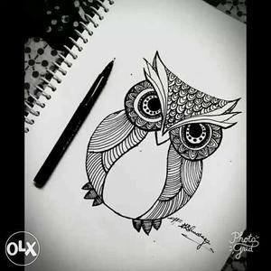 Black And White Owl Sketch
