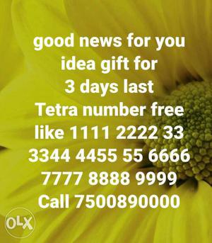 Good News For You Idea Gift For 3 Days Text
