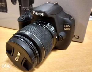 Canon D 8 month old with dual lens