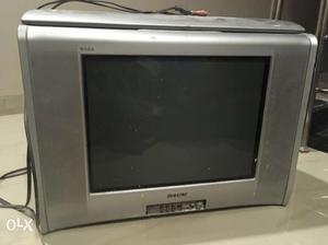 Gray Sony Widescreen CRT Television