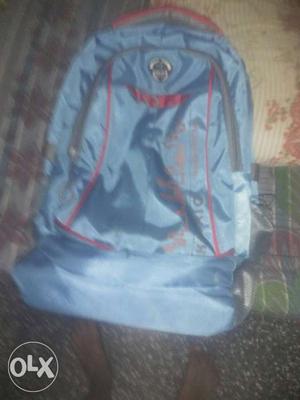 Gray Zip Backpack