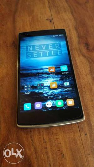 One plus one 64gb scratchless mint with