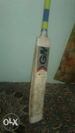 English Willow gm Bat with Stroke Paper