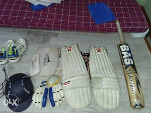 Pair Of Why Shin Guards; Brown Wooden Cricket Bat
