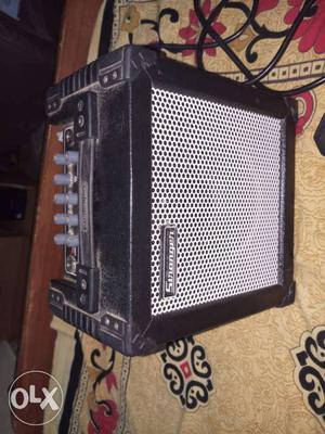 Stranger C15 amplifier with speaker