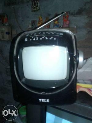 TV telly veshon