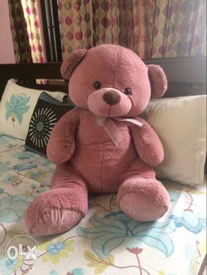 Big teddy bear soft toy by Archies