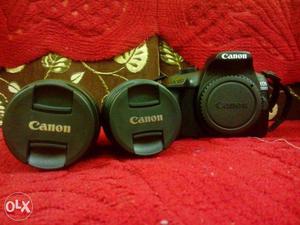 Dslr Canon  D for rent