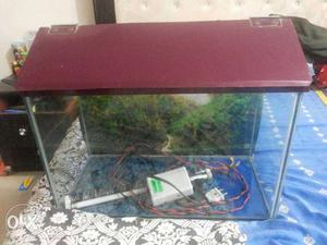 1.5sq ft Fish tank with Oxygen and light new